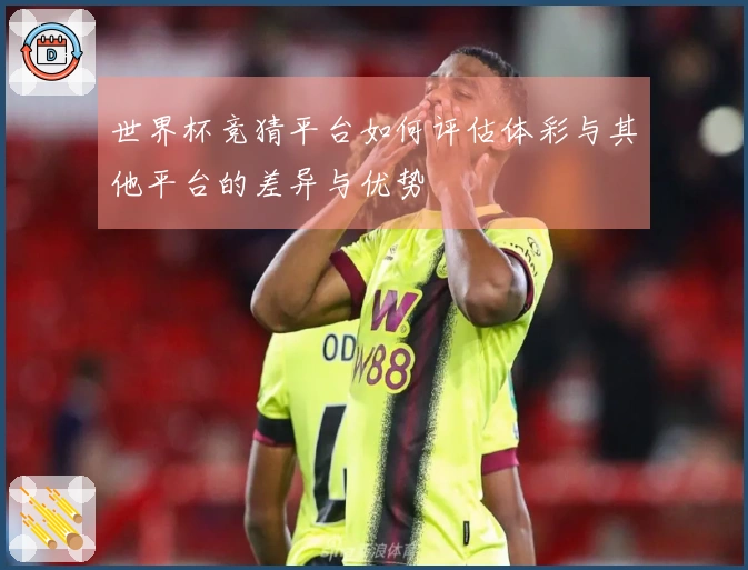 世界杯竞猜平台如何评估体彩与其他平台的差异与优势