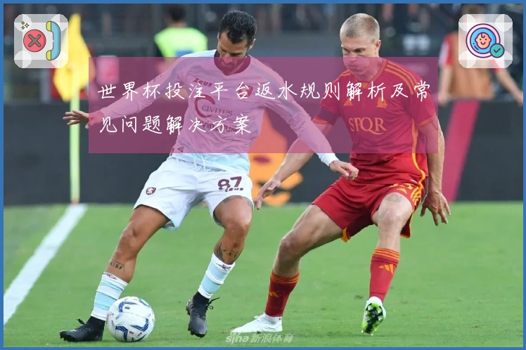 世界杯投注平台返水规则解析及常见问题解决方案