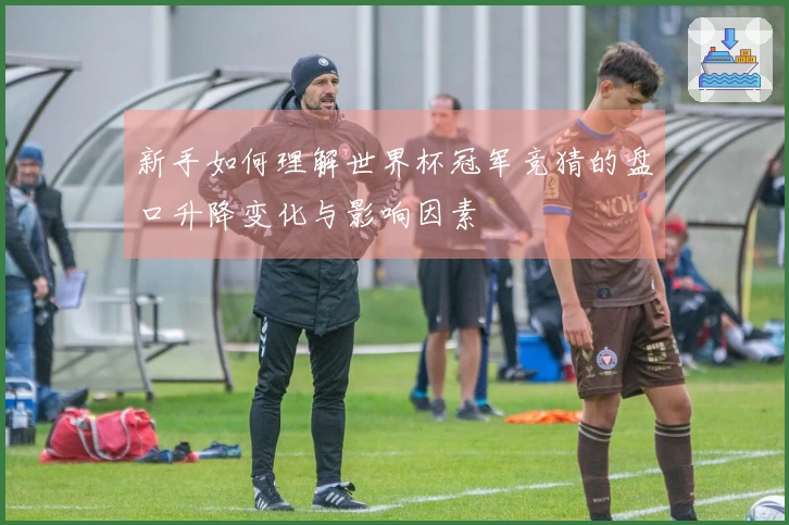 新手如何理解世界杯冠军竞猜的盘口升降变化与影响因素